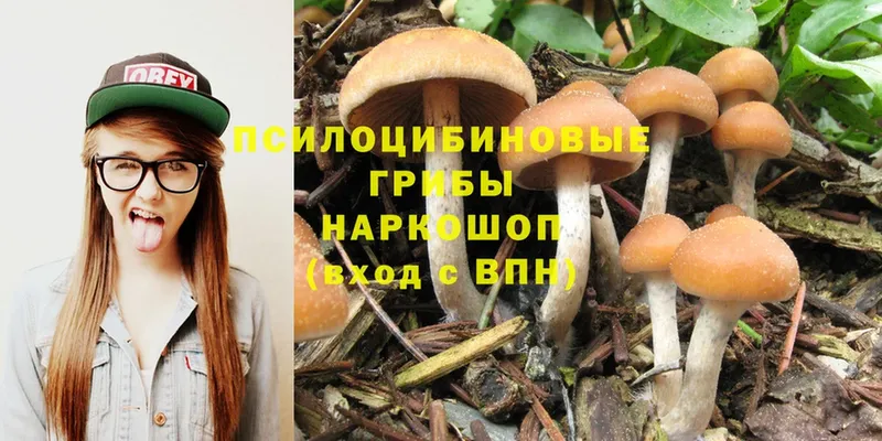 Галлюциногенные грибы Psilocybe  Энем 